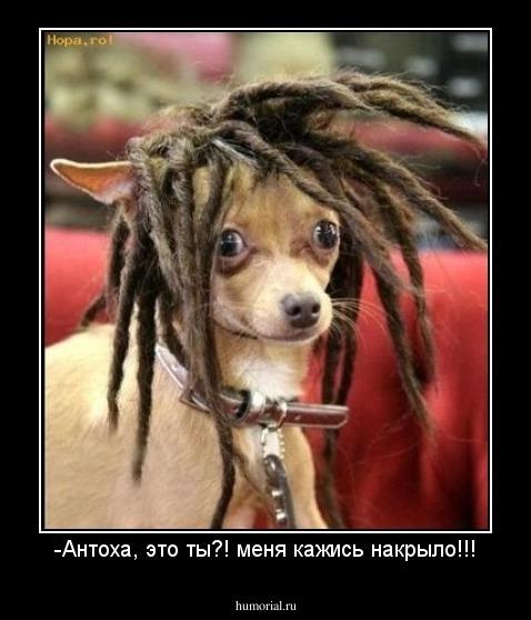 -Антоха, это ты?! меня кажись накрыло!!!