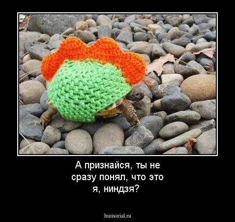 А признайся, ты не сразу понял, что это я, ниндзя?