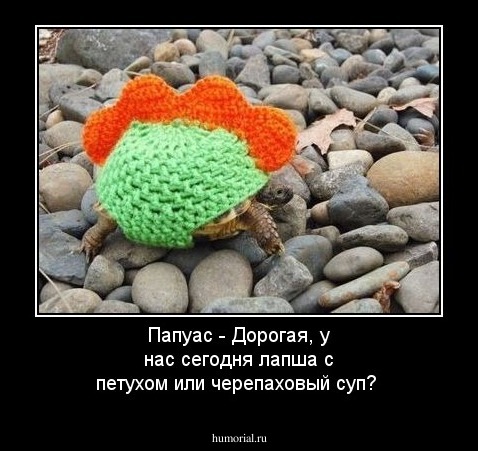 Папуас - Дорогая, у нас сегодня лапша с петухом или черепаховый суп?
