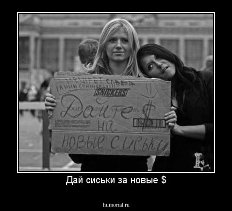 Дай сиськи за новые $