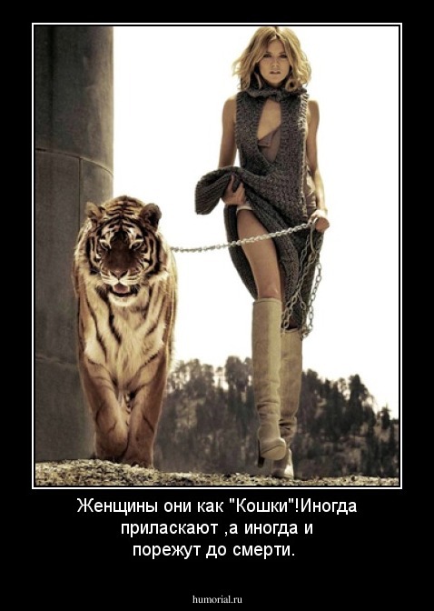 Женщины они как "Кошки"!Иногда приласкают ,а иногда и порежут до смерти.