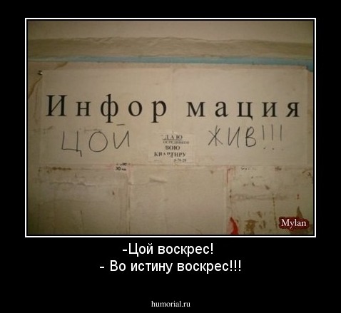 -Цой воскрес! 
- Во истину воскрес!!!