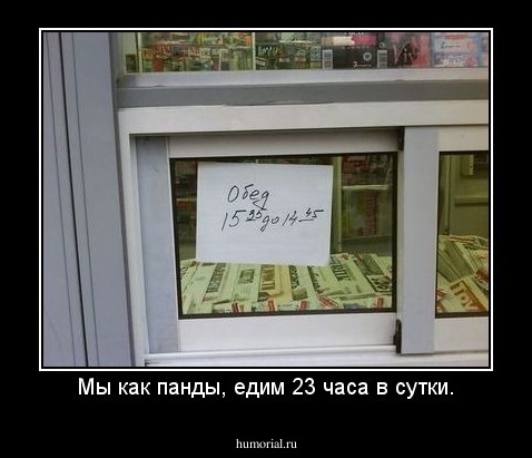 Мы как панды, едим 23 часа в сутки.