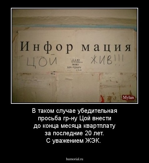 В таком случае убедительная просьба гр-ну Цой внести до конца месяца квартплату за последние 20 лет. С уважением ЖЭК.