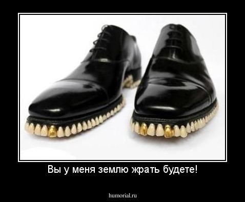 Вы у меня землю жрать будете!