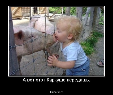 А вот этот Каркуше передашь.