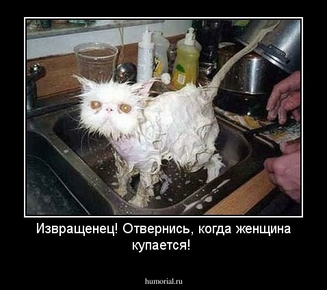 Извращенец! Отвернись, когда женщина купается!