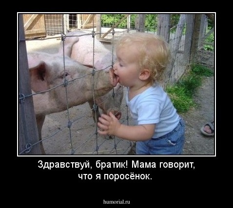 Здравствуй, братик! Мама говорит, что я поросёнок.