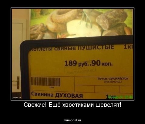 Свежие! Ещё хвостиками шевелят!