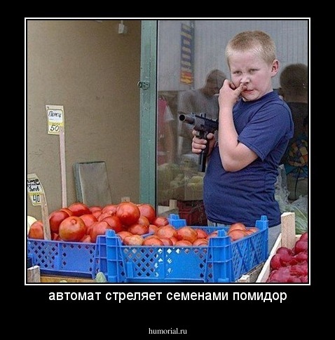 автомат стреляет семенами помидор