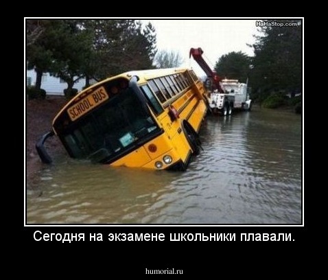 Сегодня на экзамене школьники плавали.