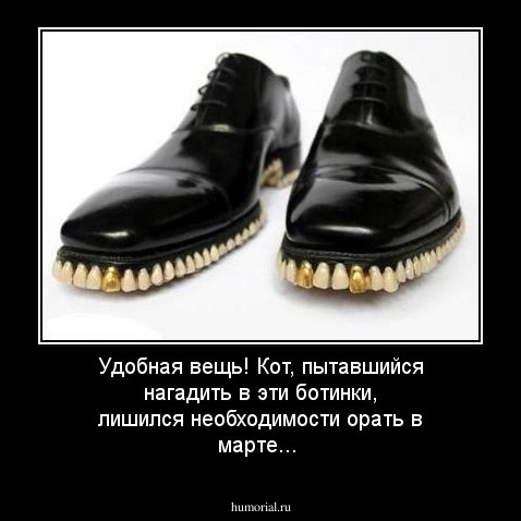 Удобная вещь! Кот, пытавшийся нагадить в эти ботинки, лишился необходимости орать в марте...