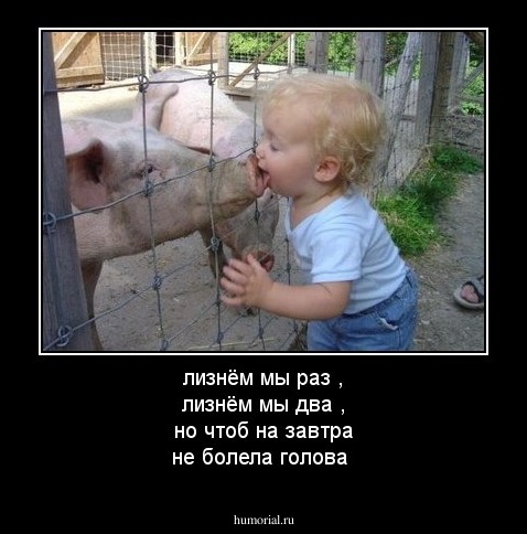 лизнём мы раз , лизнём мы два , но чтоб на завтра не болела голова