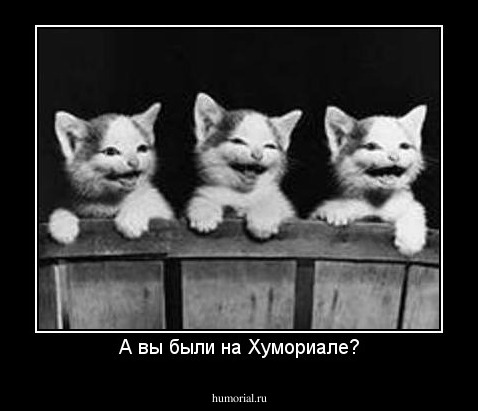 А вы были на Хумориале?