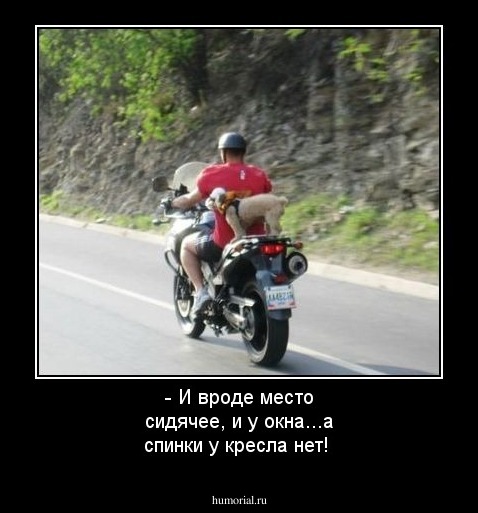 - И вроде место сидячее, и у окна...а спинки у кресла нет!