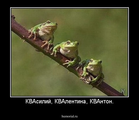КВАсилий, КВАлентина, КВАнтон.
