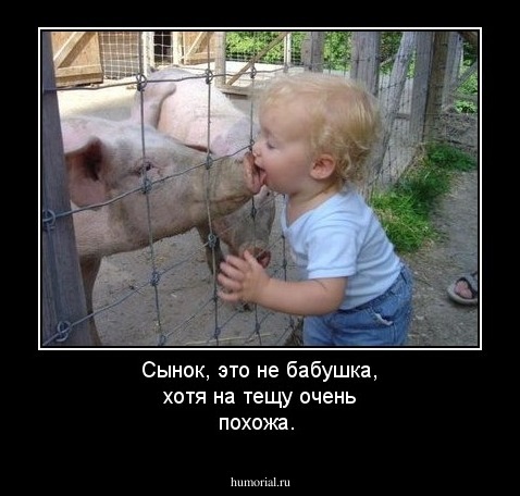 Сынок, это не бабушка, хотя на тещу очень похожа.