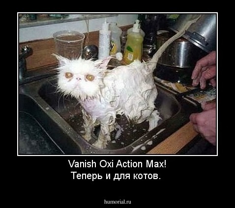 Vanish Oxi Action Max! Теперь и для котов.
