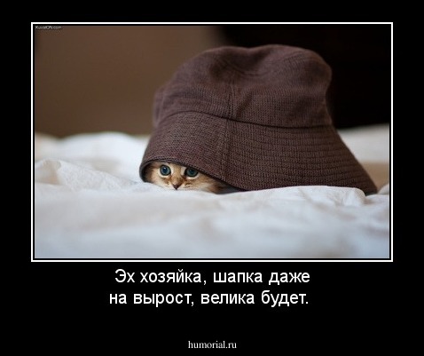 Эх хозяйка, шапка даже на вырост, велика будет.