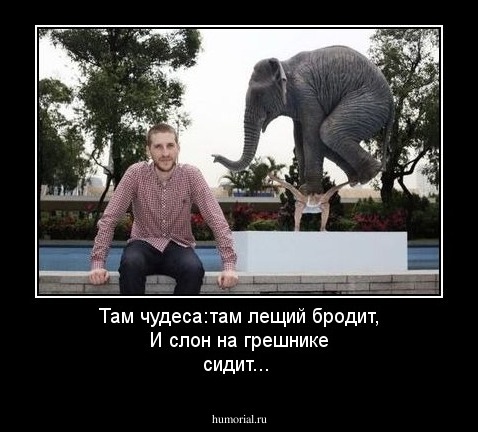 Там чудеса:там лещий бродит,
И слон на грешнике сидит...