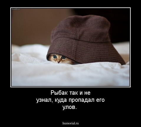 Рыбак так и не узнал, куда пропадал его улов.