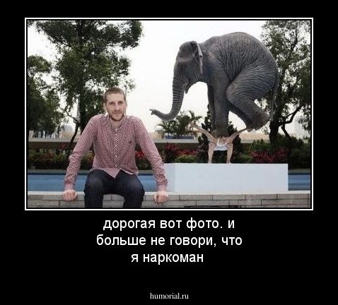 дорогая вот фото. и больше не говори, что я наркоман