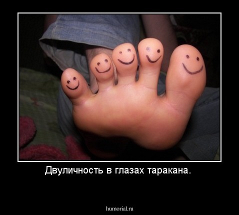 Двуличность в глазах таракана. 
