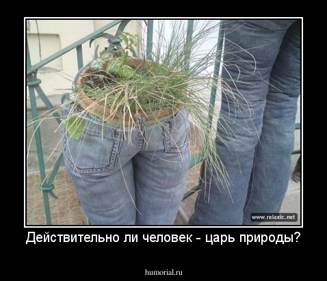 Действительно ли человек - царь природы?