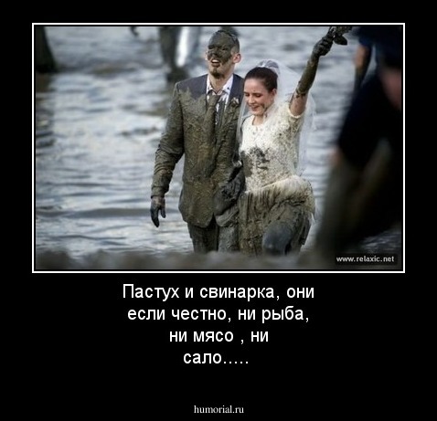 Пастух и свинарка, они если честно, ни рыба, ни мясо , ни сало.....