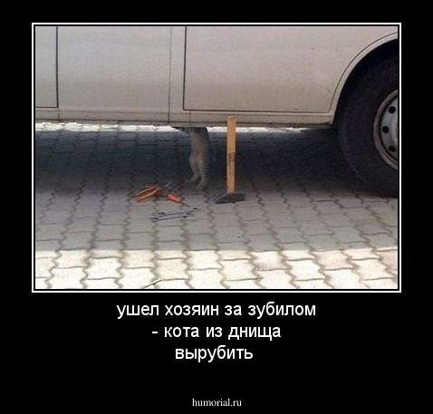 ушел хозяин за зубилом - кота из днища вырубить
