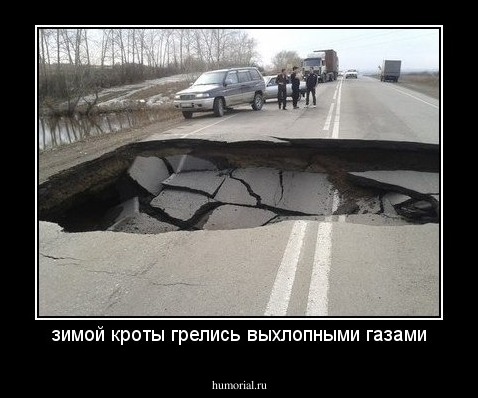 зимой кроты грелись выхлопными газами