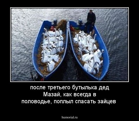 после третьего бутылька дед Мазай, как всегда в половодье, поплыл спасать зайцев