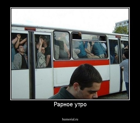 Рарное утро