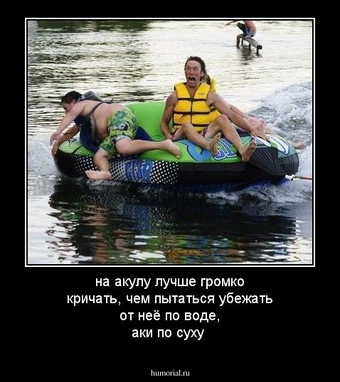 на акулу лучше громко кричать, чем пытаться убежать от неё по воде, аки по суху 