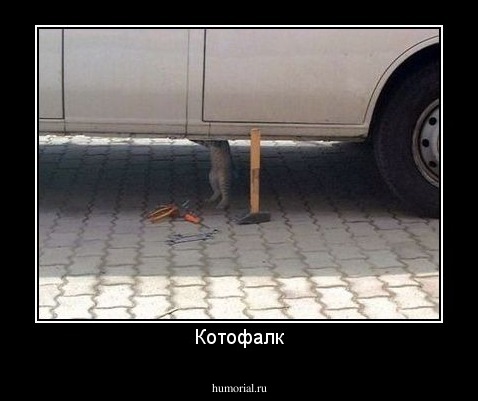 Котофалк