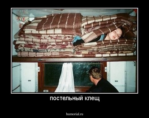 постельный клещ