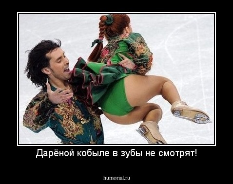 Дарёной кобыле в зубы не смотрят!