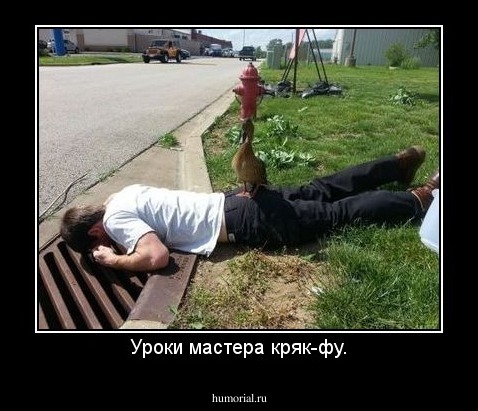 Уроки мастера кряк-фу.
