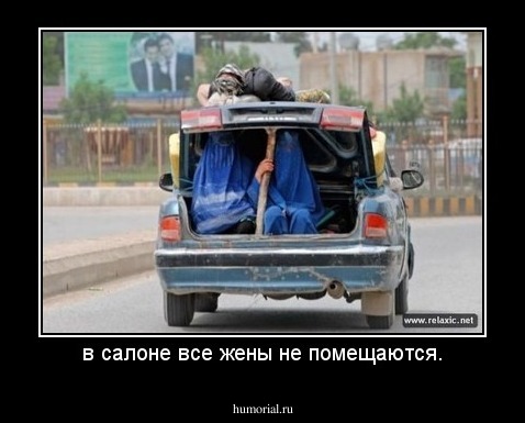 в салоне все жены не помещаются.
