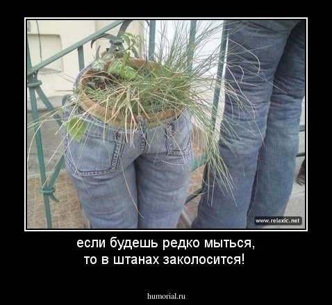 если будешь редко мыться, то в штанах заколосится!
