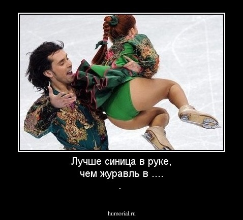 Лучше синица в руке, чем журавль в .... .