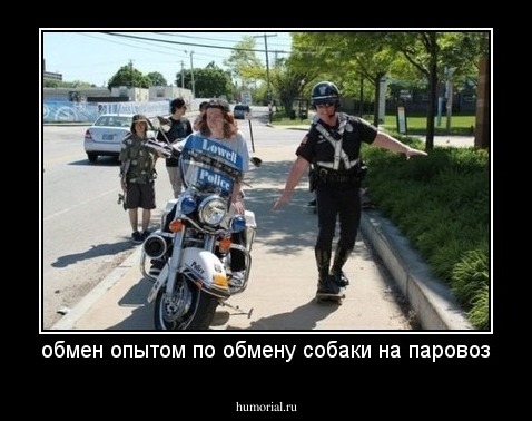 обмен опытом по обмену собаки на паровоз