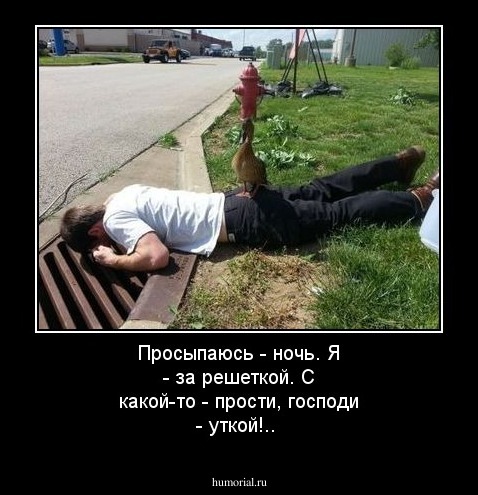 Просыпаюсь - ночь. Я - за решеткой. С какой-то  - прости, господи -  уткой!..