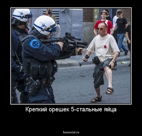 Крепкий орешек 5-стальные яйца
