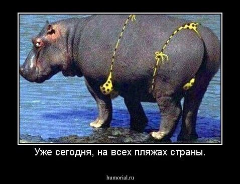 Уже сегодня, на всех пляжах страны.