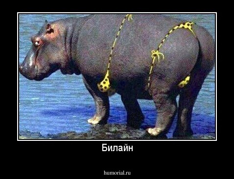 Билайн