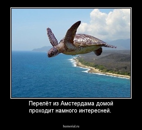 Перелёт из Амстердама домой проходит намного интересней.