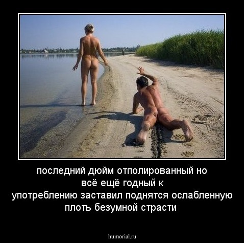 последний дюйм  отполированный  но всё ещё годный к употреблению заставил поднятся ослабленную плоть безумной страсти