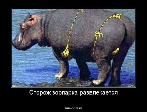 Сторож зоопарка развлекается