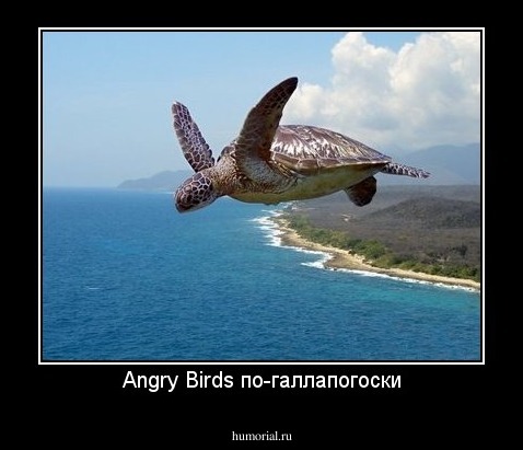 Angry Birds по-галлапогоски